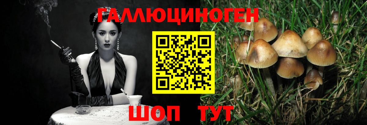 Псилоцибиновые грибы GOLDEN TEACHER Кушва